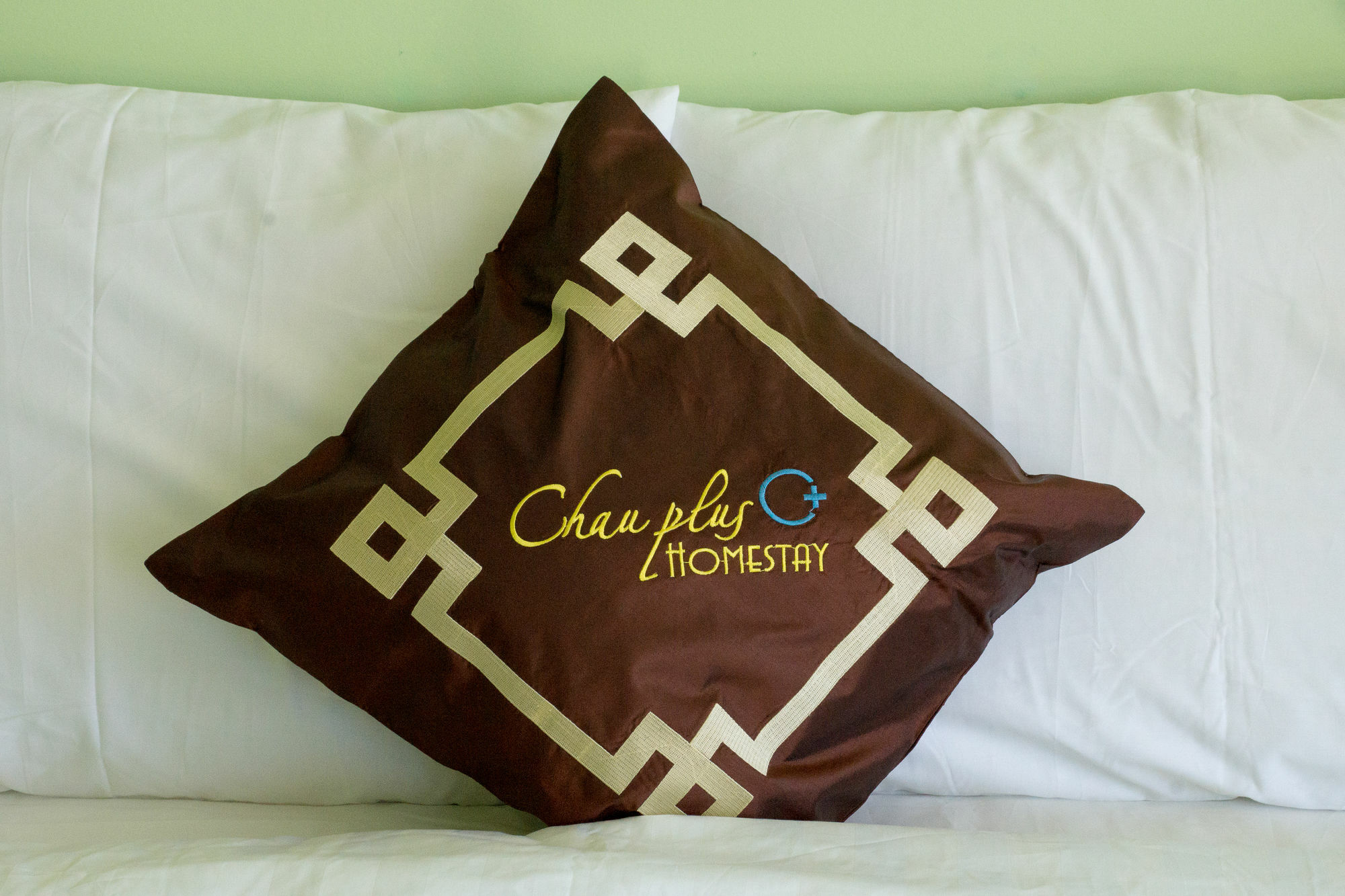Chau Plus Homestay Hoi An Dış mekan fotoğraf